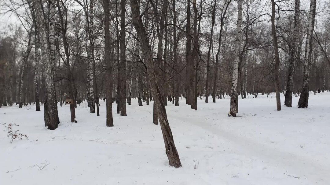 Гуляешь по роще. Гуляешь по роще