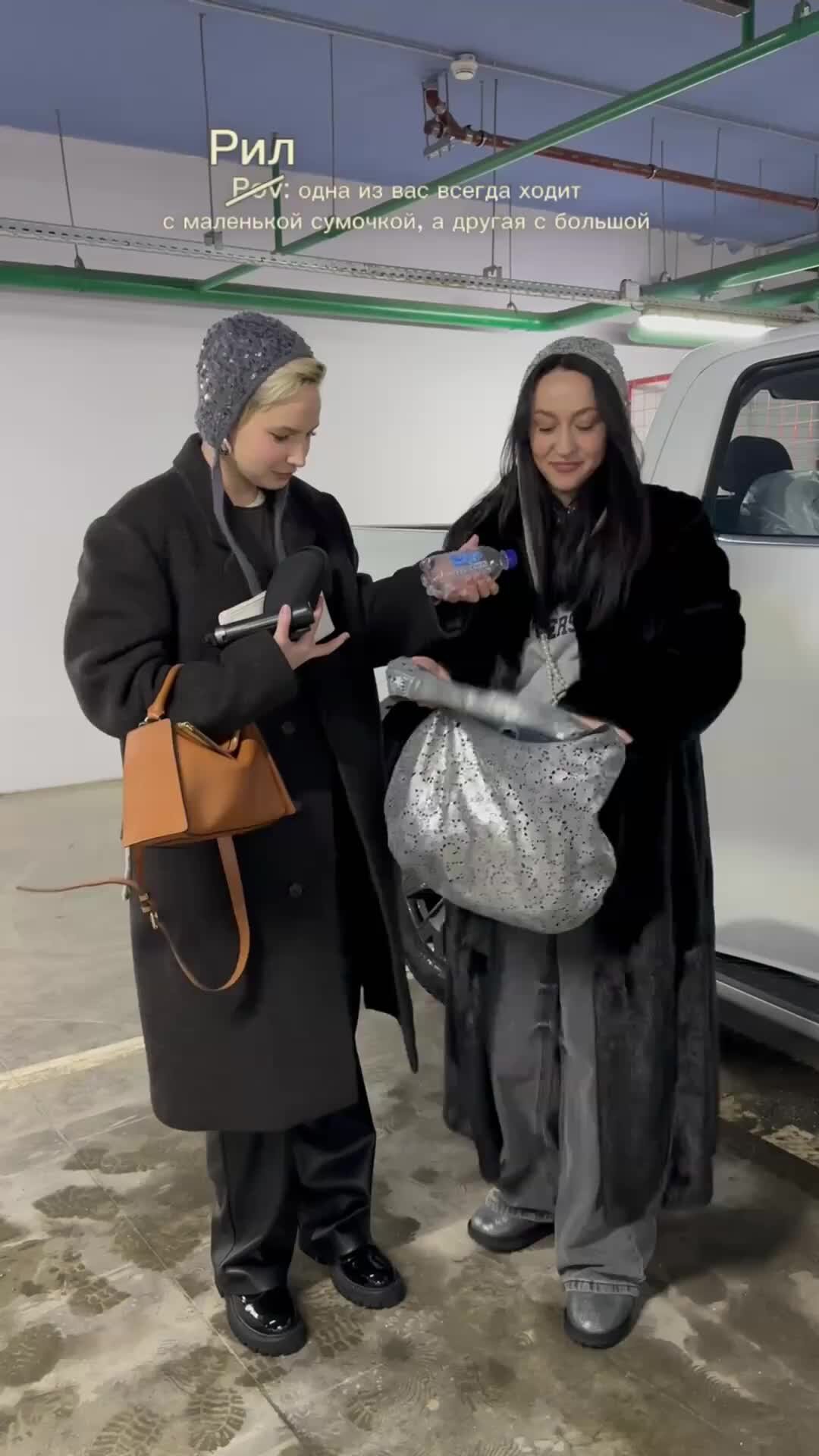 Ирис гарибальди. Ирис эбони. Ирис чат. Бот ирис ирис. Ирис высокий элис гудман.