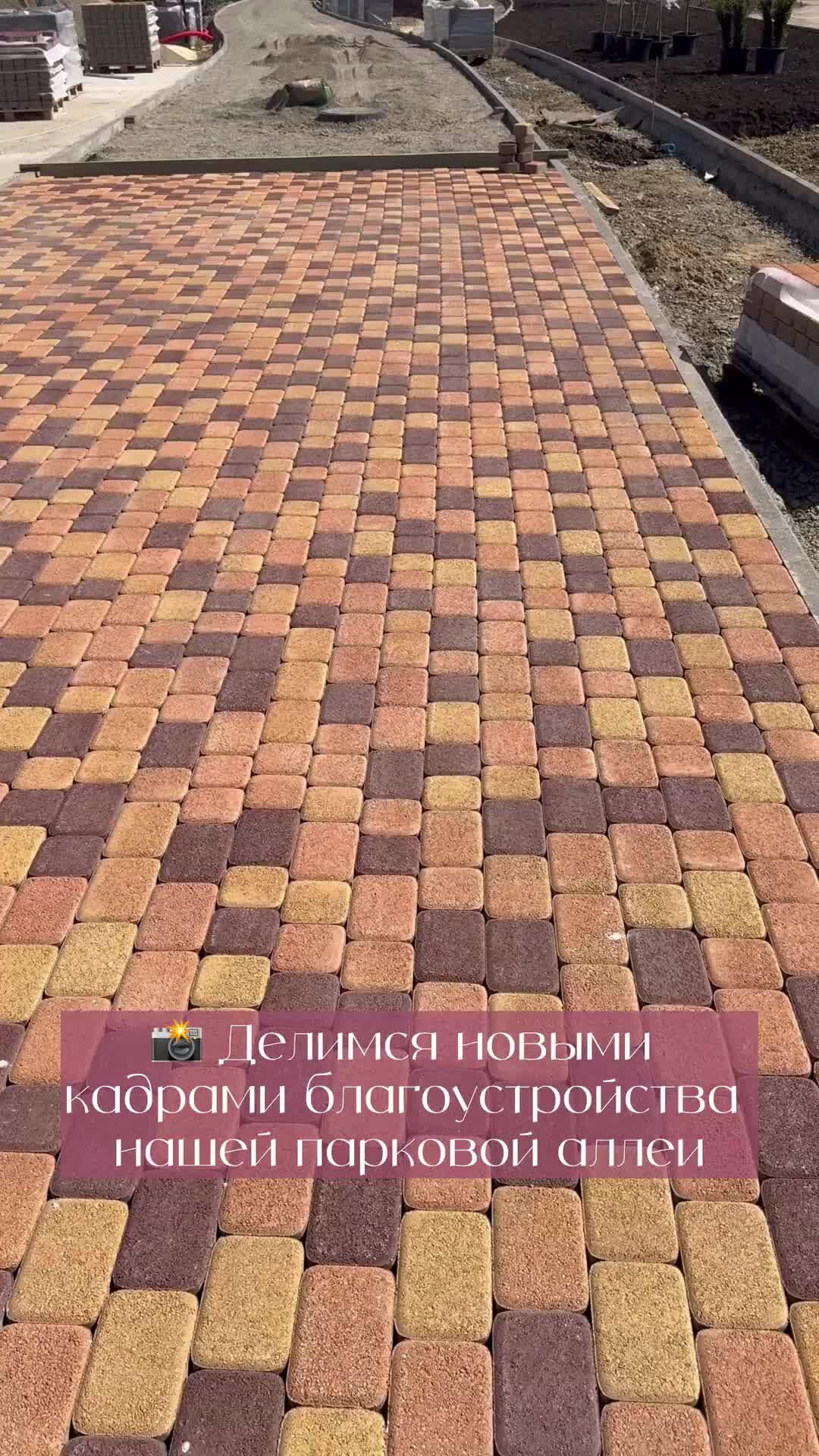 ЖК Долина роз | Ставрополь | 🏠 Пока наши коллеги работают в Сочи — строительные  работы в ЖК «Долина Роз» продолжаются. Делимся новыми кадрами  благоустройства нашей парковой аллеи. #благоустройство #стройка #долинароз  #аллея | Дзен