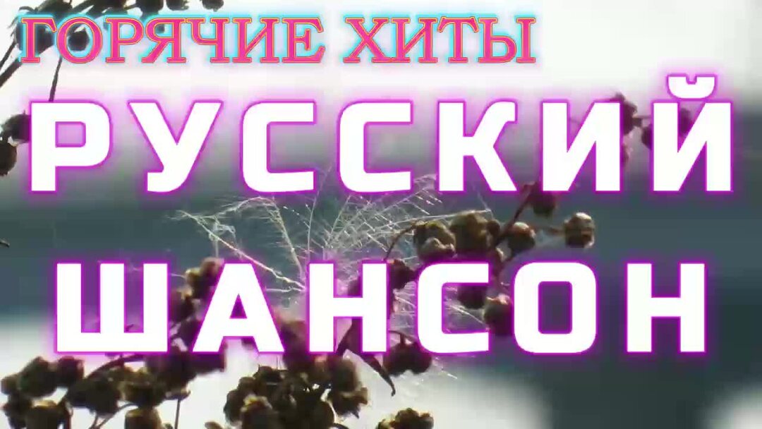 Рутуб шансон 2025. Рутуб шансон 2025
