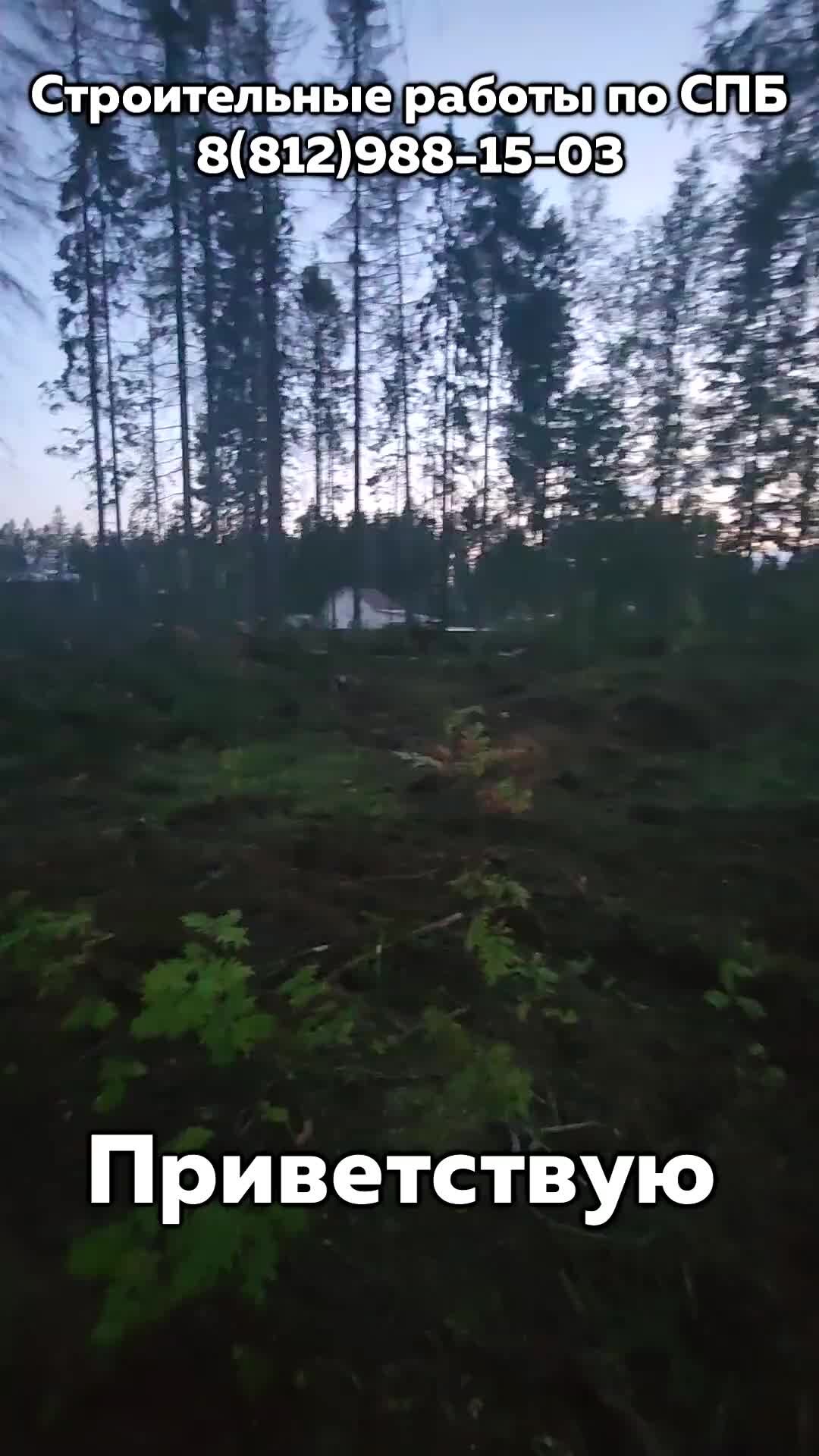 ВСК | Выкорчевка и спил деревьев на участке | Земляные работы по ...