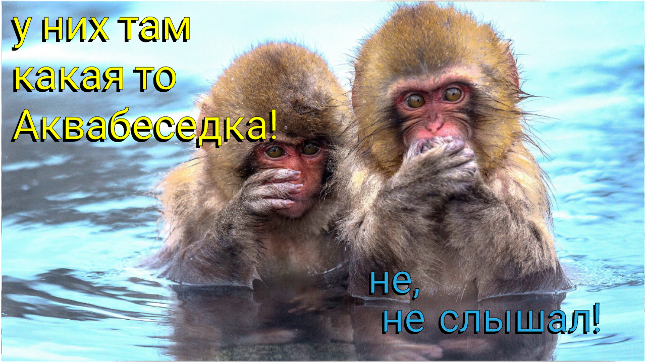 максимальная высота 3 м. липа мелколистная возраст высота. фура размеры грузоподъемность 20 тонн. еврофура рефрижератор 20 тонн габариты. размер кроны липы мелколистной.
