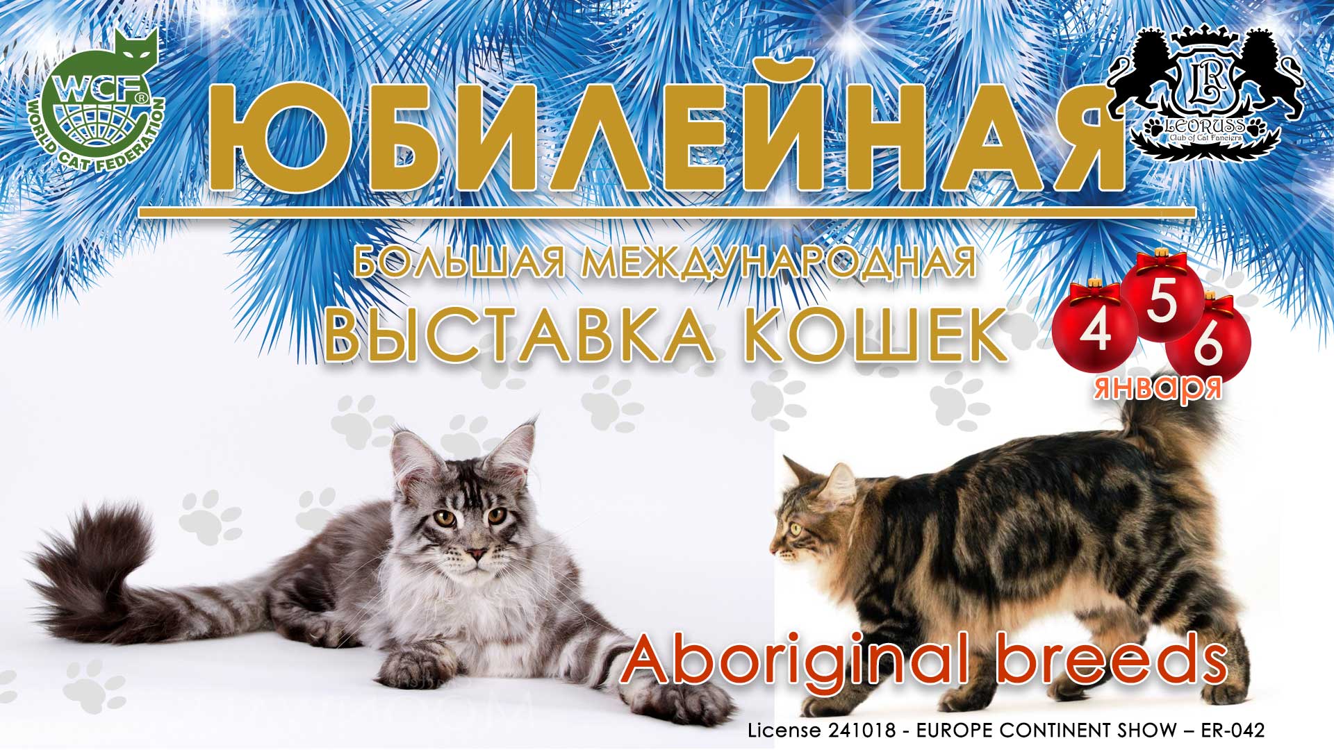 Выставка кошек 4 5 ноября