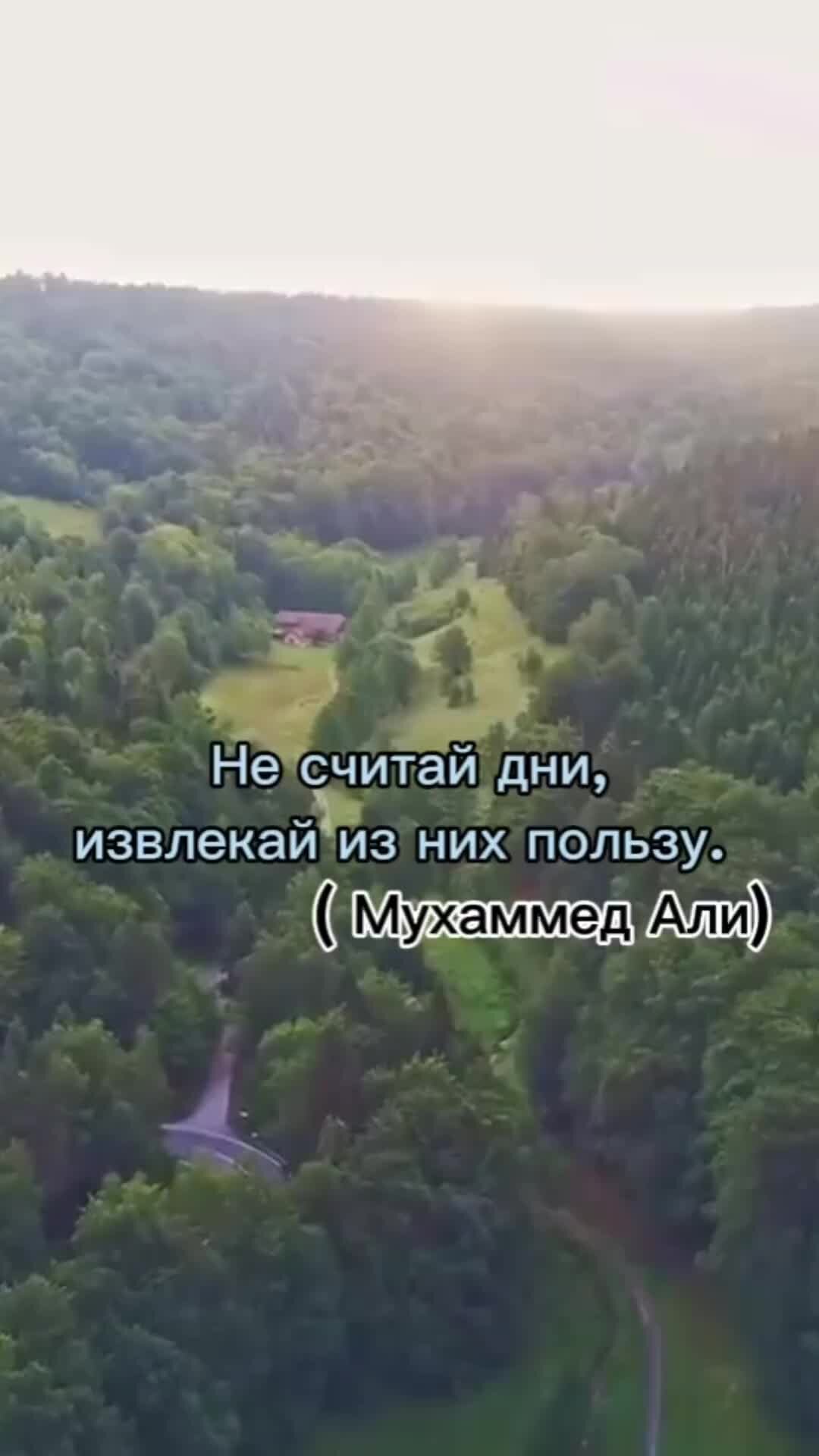 Цитаты про слышать. Цитаты некоторые люди. Цитаты некоторые люди. Цитаты про гнилых людей со смыслом. Человек не слышит цитаты.