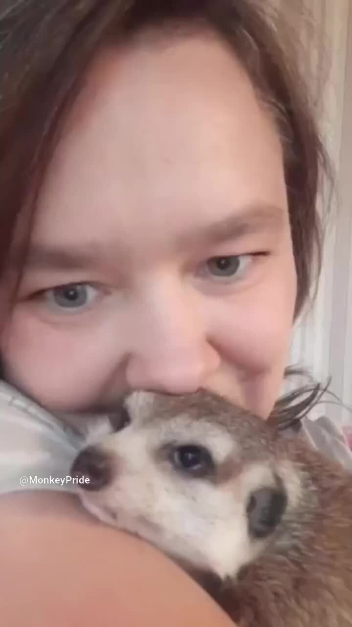 Мы сами выбираем цитаты. Каждый делает свой выбор спм. Каждый человек делает выбор. Каждый делает свой выбор сам. Мотиваторы.