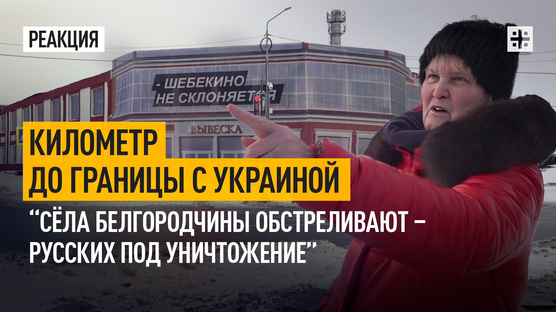 жизненные рассказы яндекс дзен. дзен-лента юмор. менестрель дзен читать. лотосовый парк сиань. человек с телом птицы и конечностями змии.