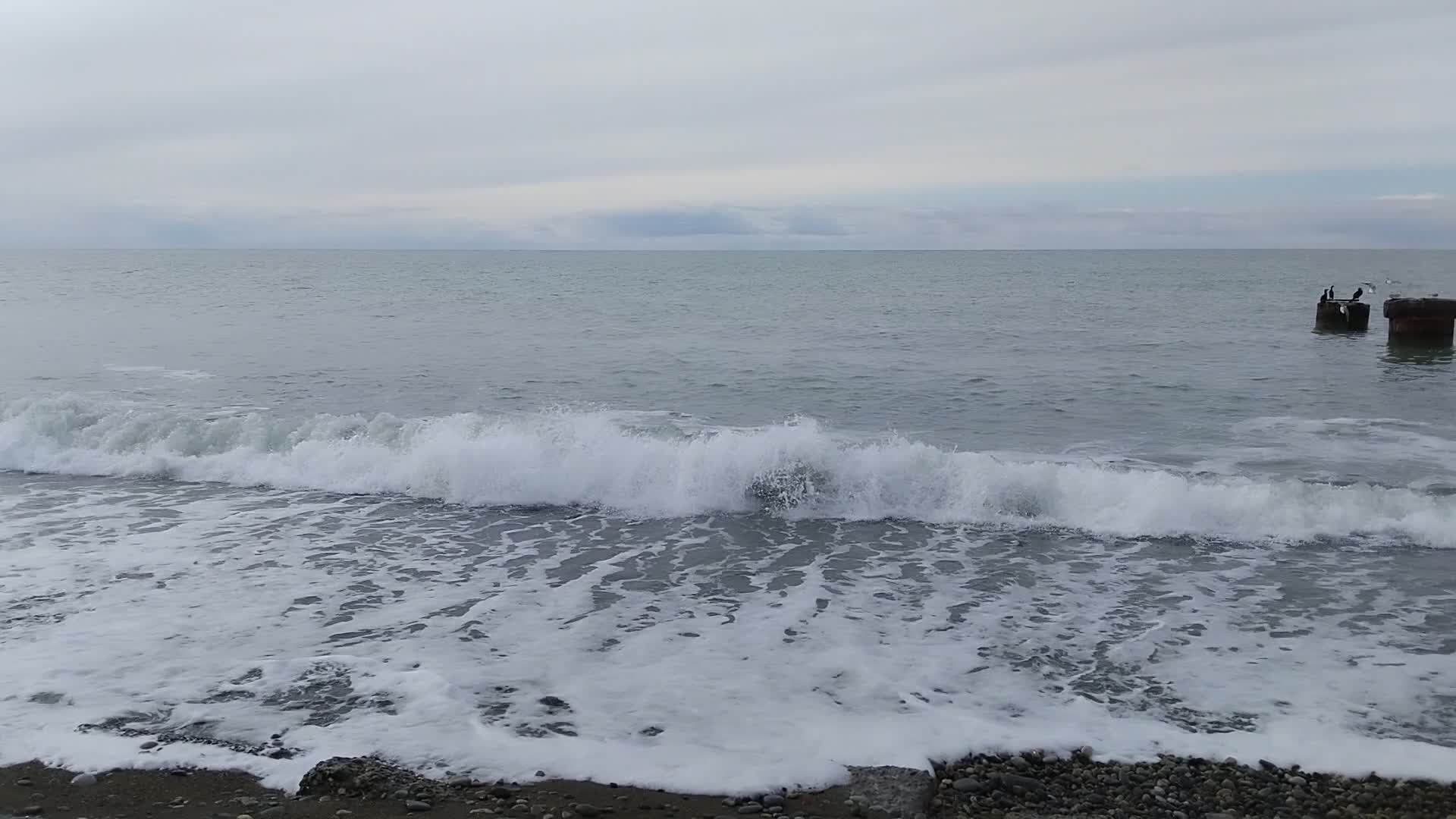 Сочи море в мае температура воды