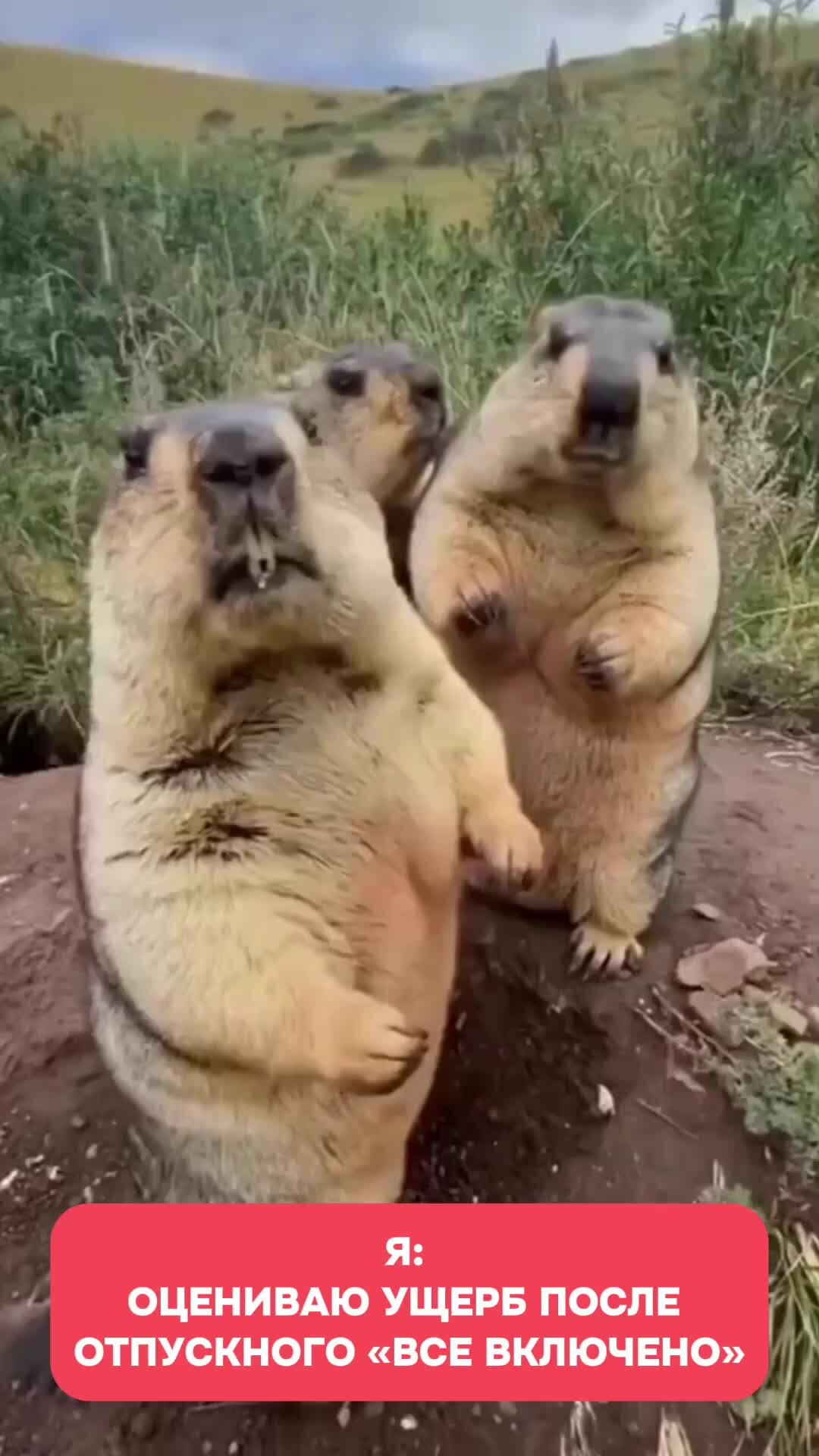 Знак запрета соцсетей. Руками не трогать. Значок руками не трогать. Руками не трогать. Табличка не брать.