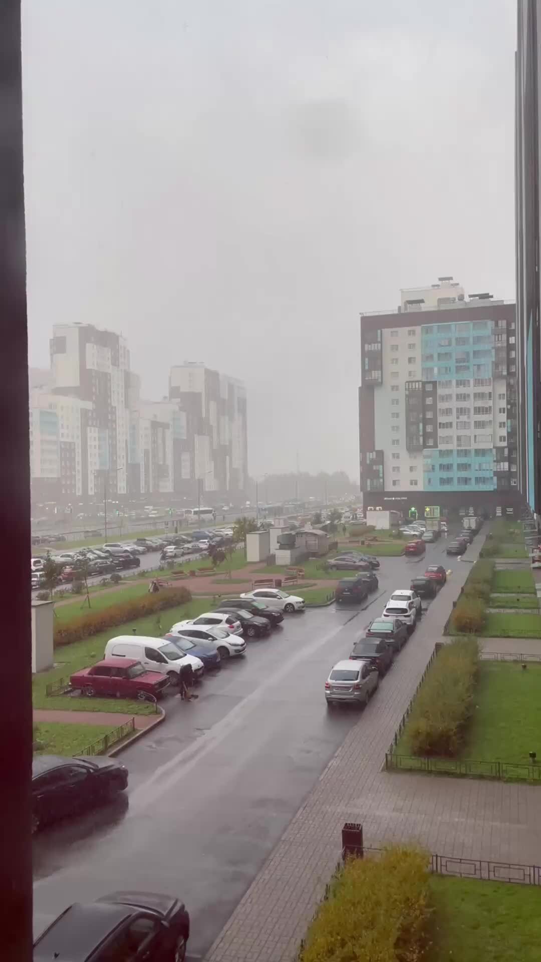 Света из декрета | #снег #питер #погода #скорозима | Дзен