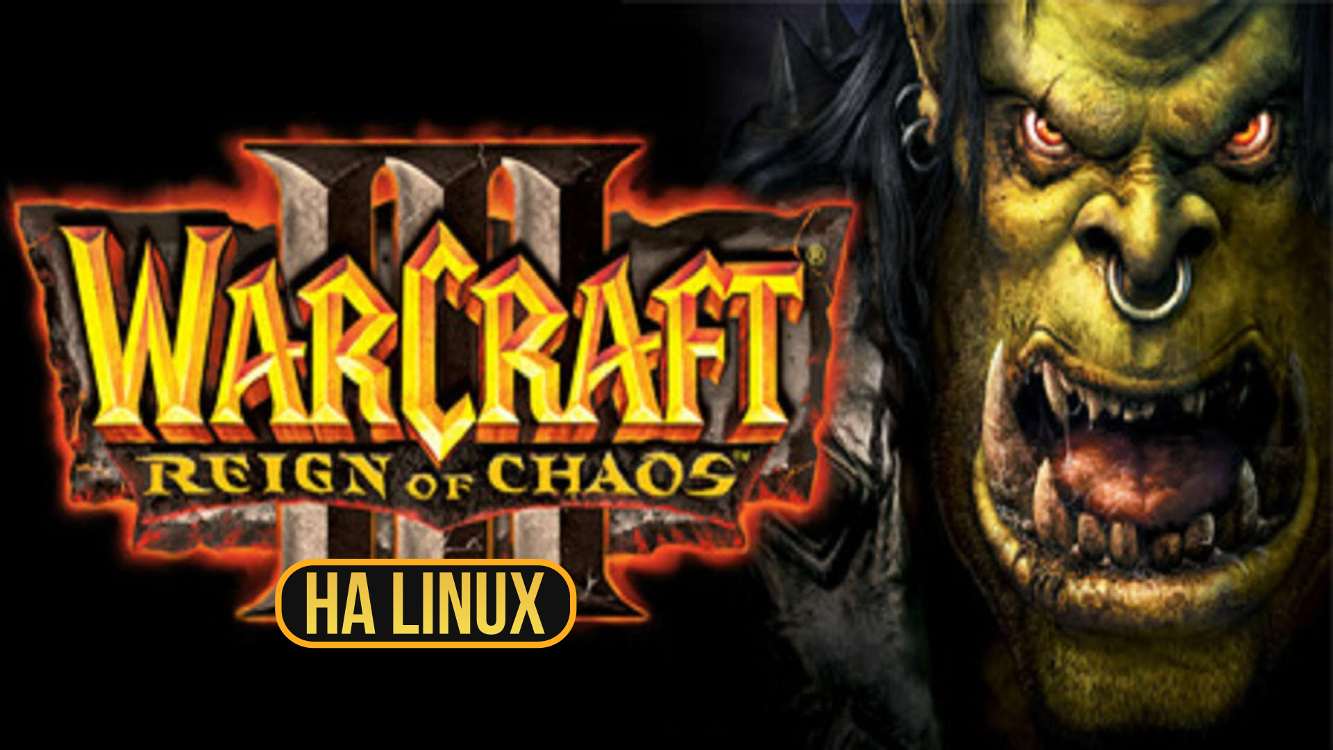 Warcraft обложка. Warcraft обложка. Warcraft 3 frozen throne постер. World of warcraft обложка игры. Warcraft: orcs & humans.