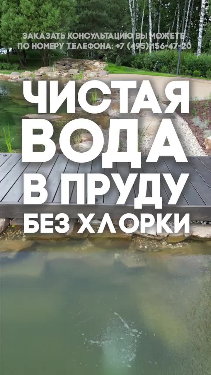 ЛЮКСПРУД. Строительство прудов и ландшафтный дизайн | Чистая вода в пруду  без хлорки. Возможно ли такое? Мы против добавления химии в пруд — это  вредит живым организмам! | Дзен