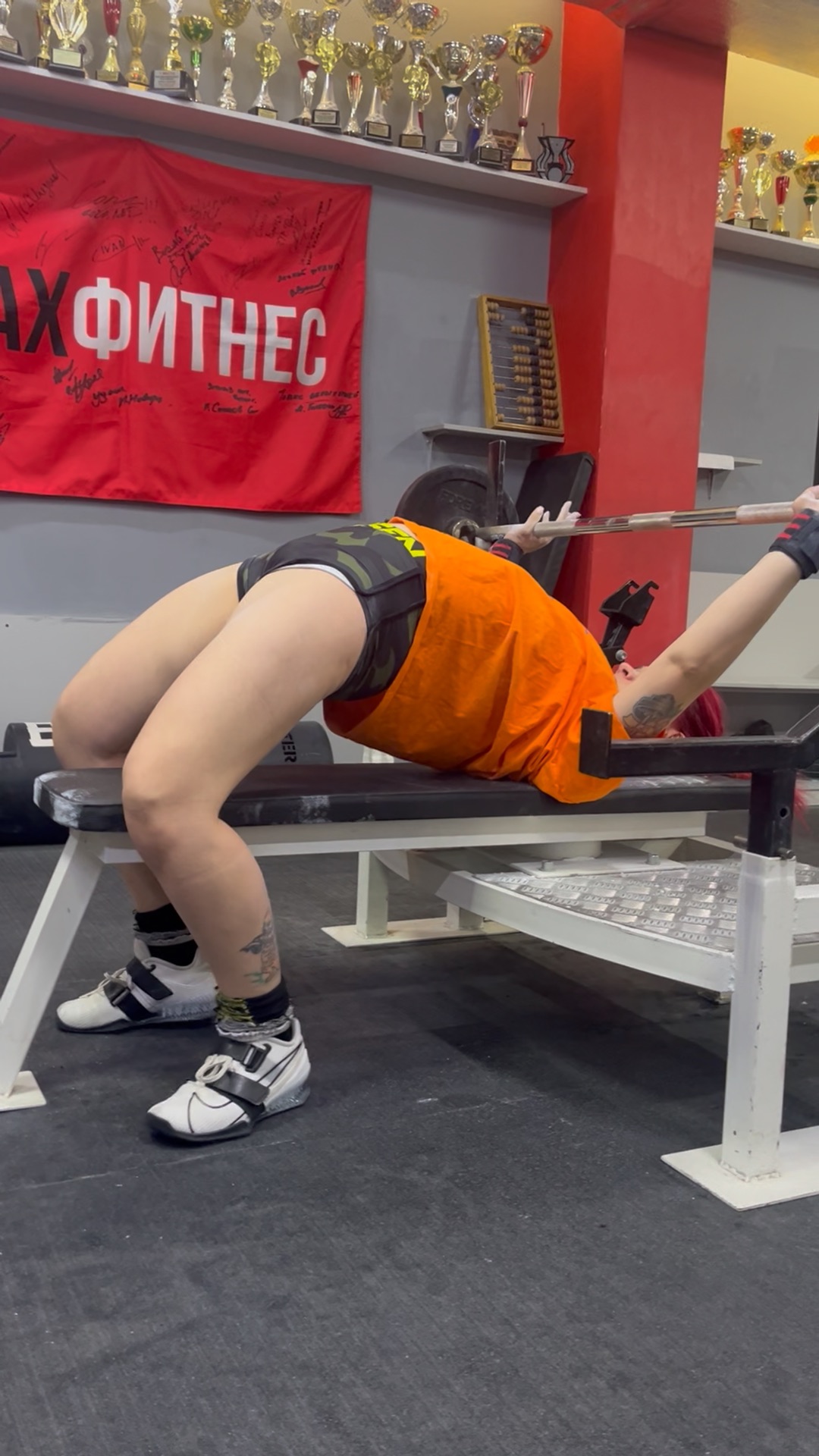 дзен записки ворчливой кошатницы