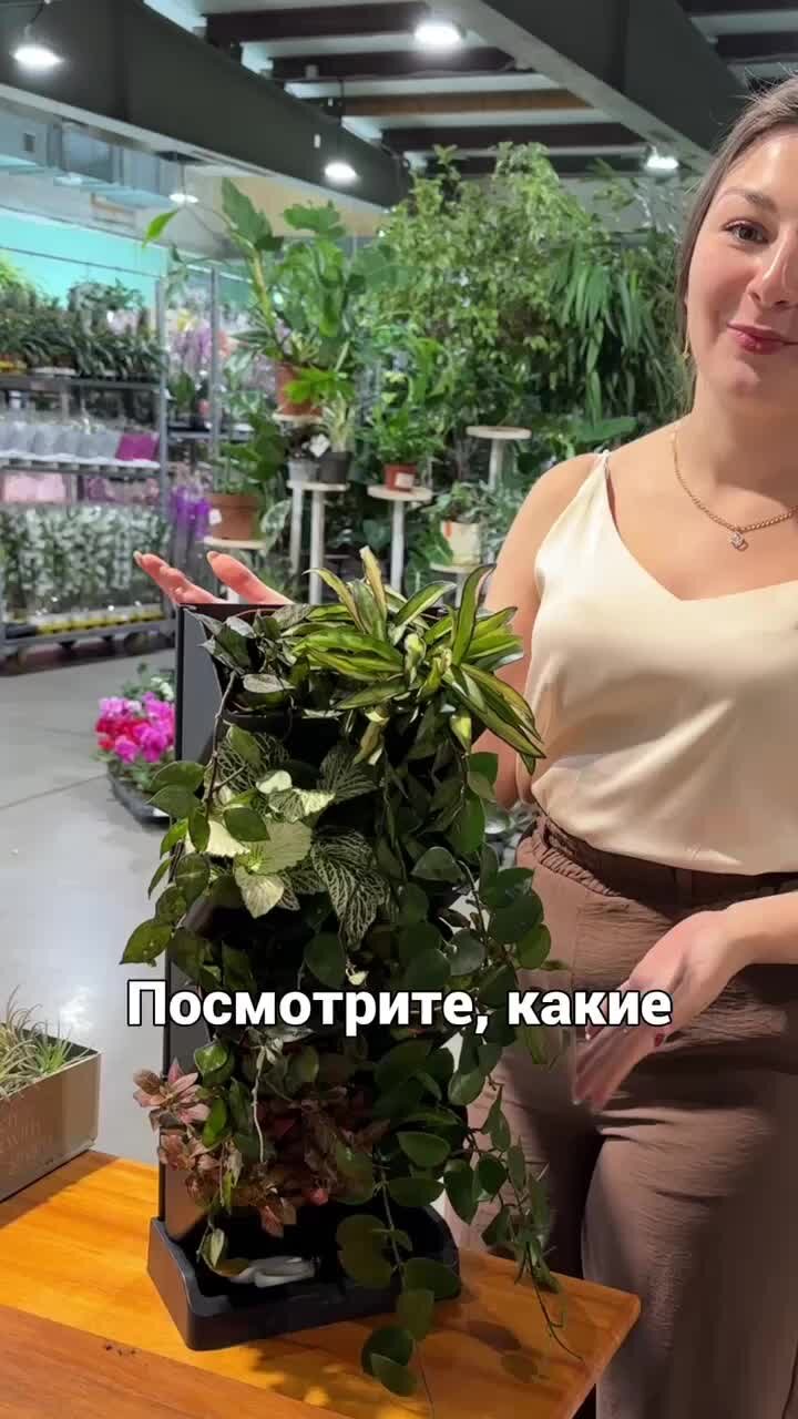 Растения всю жизнь. Растения всю жизнь