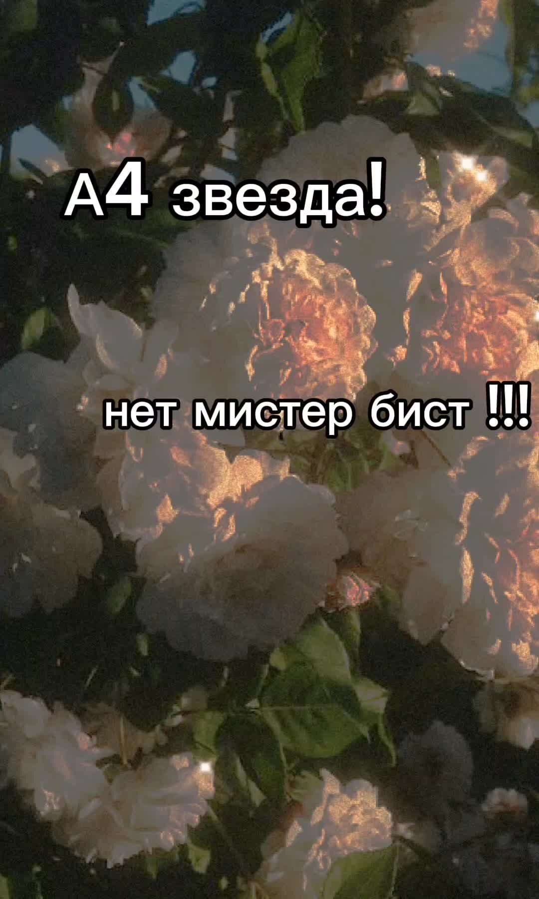 И вообще он меня. И вообще он меня
