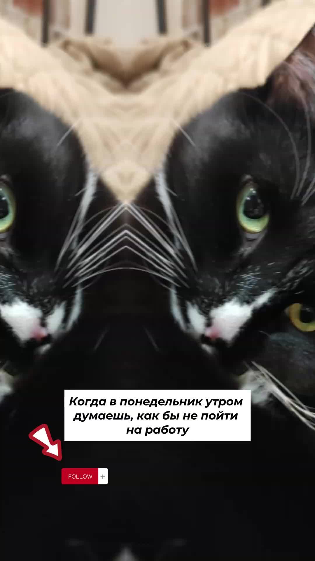 дни недели понедельник. дни недели. дни недели понедельник. дни недели. шел первым понедельник.