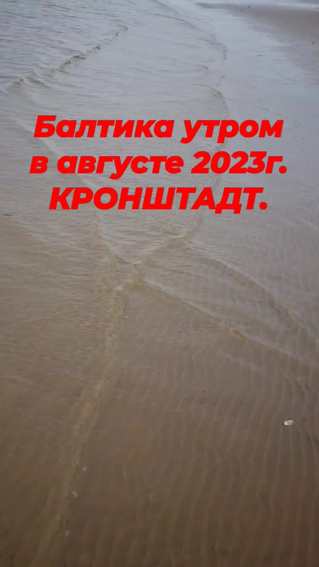 ZUBraki | Утро в Кронштадте на балтике. Первое утро экспедиции. Еще вчера  мы были дома. | Дзен