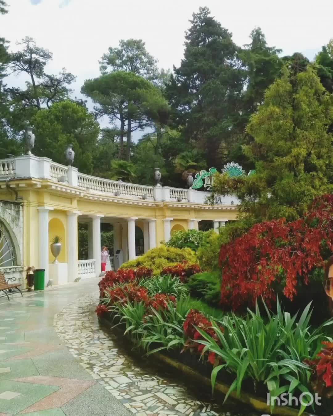 Карта дендрарий сочи парка путеводитель. От дендрария до сочи парка. Сочинский дендрарий сочи. Фгбу сочинский национальный парк, парк дендрарий, сочи. Сочинский дендрарий нижний парк.