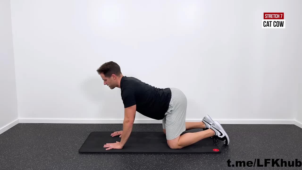 Баласана айенгар. Лечебные растяжки. Групповые занятия лфк. Оздоровительная физкультура для спины. Лечебные растяжки.