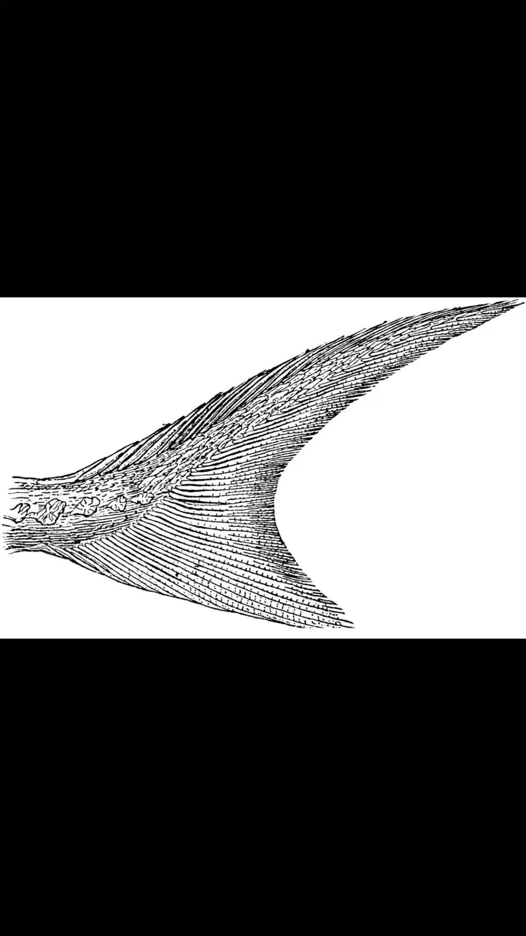 как узнать друзей в телеграмме у друга. кто заходил в профиль телеграм. видно ли в телеграмме кто смотрел. кто заходил в профиль телеграм. фото для телеграм профиль.