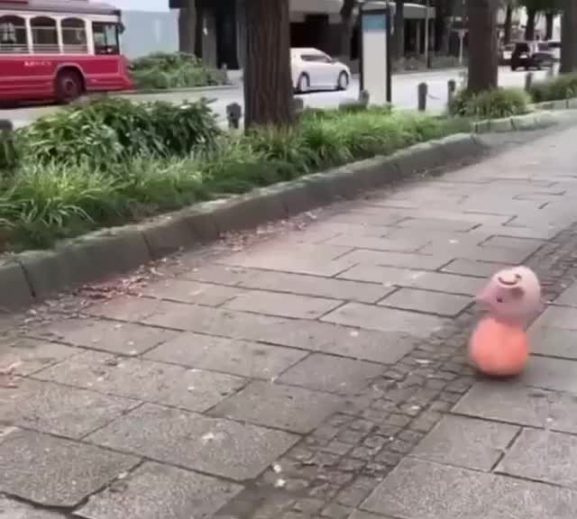 рассчитать структуру бухгалтерского баланса.