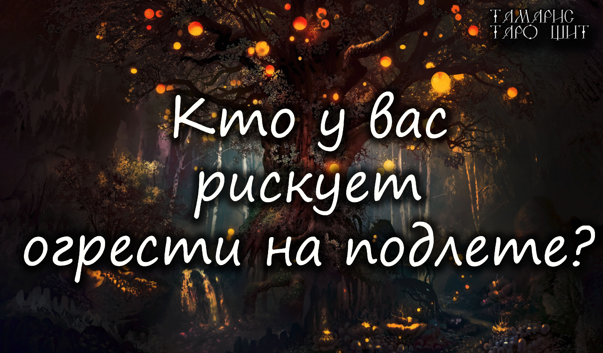 Вырази судьбы. Выбор судьбы. Высказывания о судьбе. Умные и красивые фразы. Высказывания о судьбе.