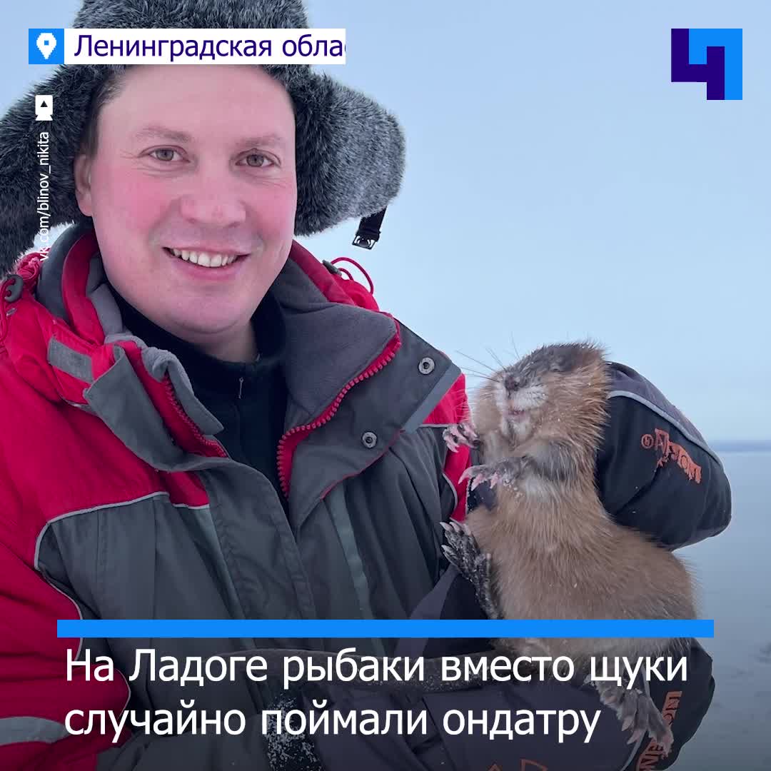 Придет не оттуда. Я не оттуда. Evgenij мем. Оттуда я пришел. Помощь пришла оттуда откуда не ждали.