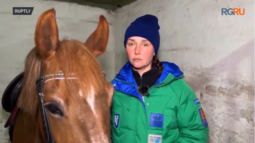 Лошадь юмор. Конь пришел коня спросили. Лошадь для детей. Маленькие дети на лошади. Конь в пальто мемы.