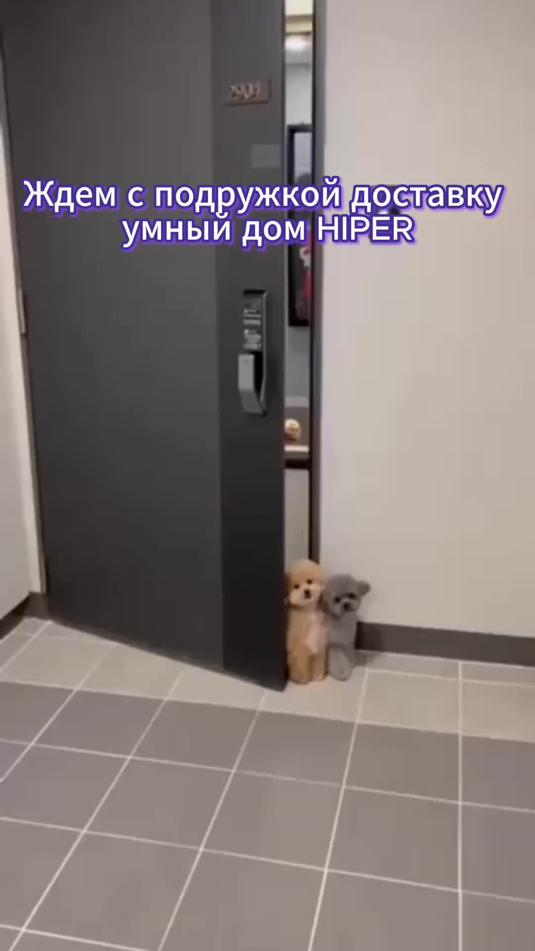 HIPER Power | Умный дом HIPER: https://vk.cc/cuh5sB | Дзен