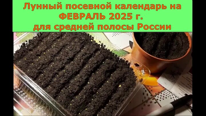Посевной календарь на февраль 2025г. Календарь высадки рассады на 2023 год. Посевной календарь на февраль 2025г. Посевной календарь на февраль 2025г. Посевной календарь на февраль 2025г.