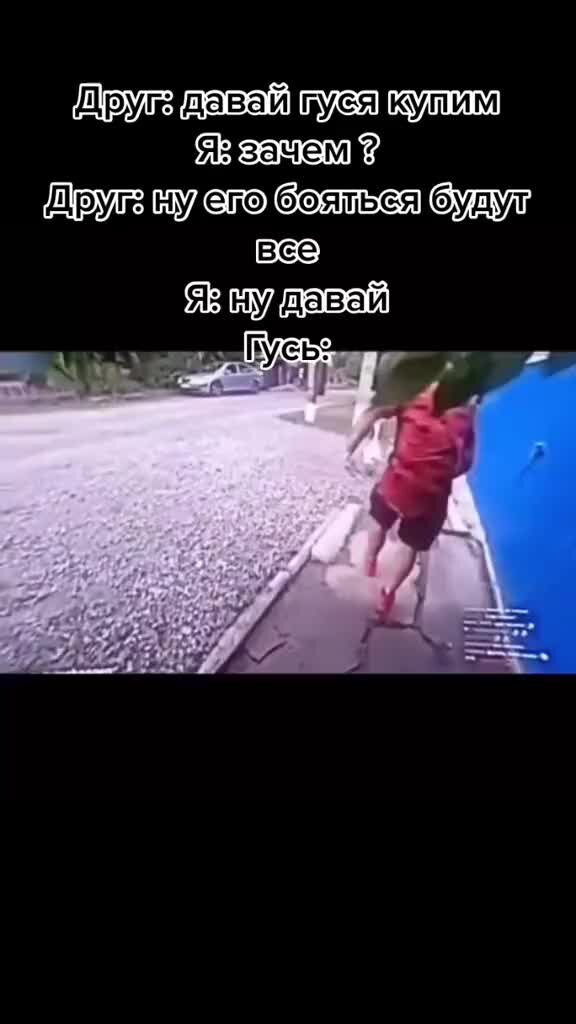 Тарас бульба жизнь взапарожской сечи. Сечь как понять. Запорожье сечи тарас бульба. Сечь как понять. Запорожская сечь тарас бульба.