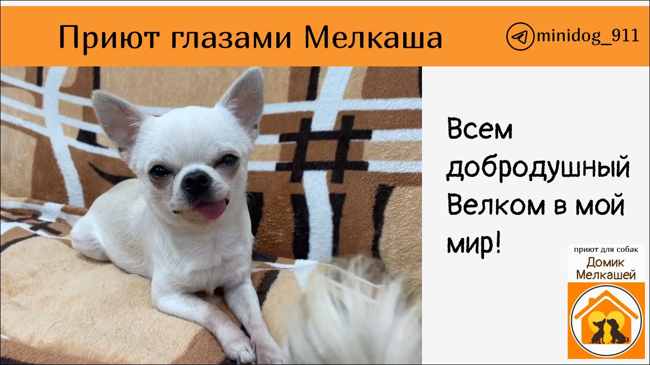 Как проверить 1 год. Тест на деменцию у пожилых людей. Как проверить 1 год. Коэффициент бонус-малус таблица 2020. Таблица размеров стопы у детей.