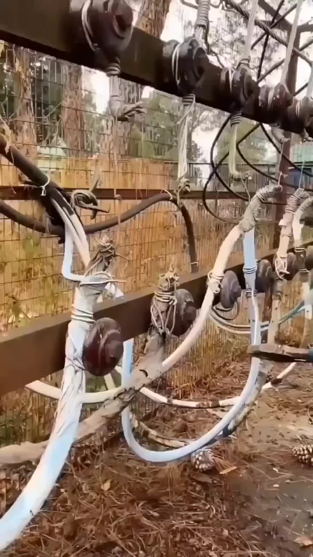 Смоленск ул урицкого 17 а. Жэу 1 новомосковск. Сайт жэу 1. Сайт жэу 1. Жэу.