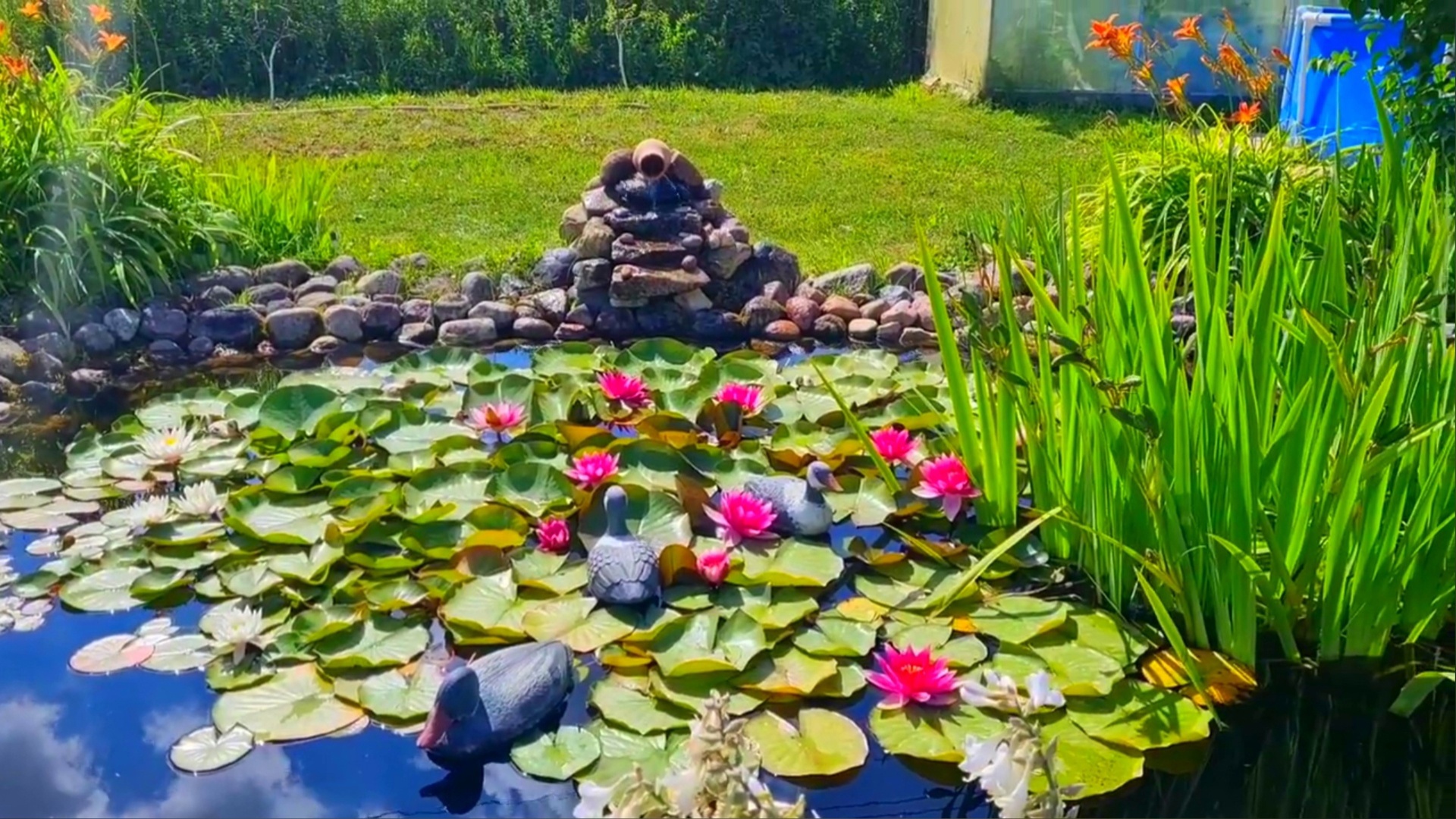 Декоративный прудик. Огородный прудик. Искусственный пруд на даче. Елена храмцова ландшафтный дизайнер. Искусственный водоем на участке.