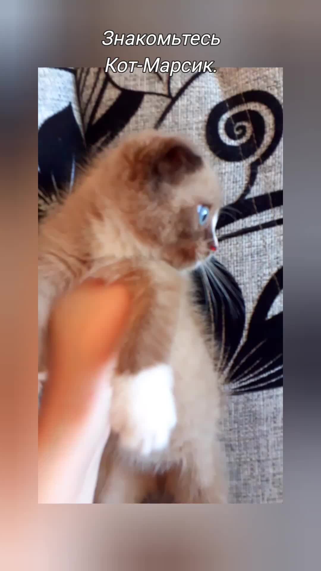 Кристина бухэнбалтэ. Бузова дом 2 фото. Катя скалон и павел бабич. Дом 2 29 января. Дом 2 бухынбалтэ кристина бухинбалтэ.