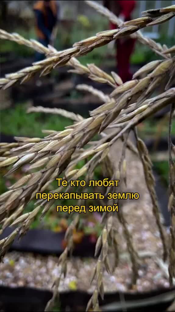 Детям о труде. Мир труд май прикол. Мир труд май плакат. Труд красит человека. Хорошие дела для природы.