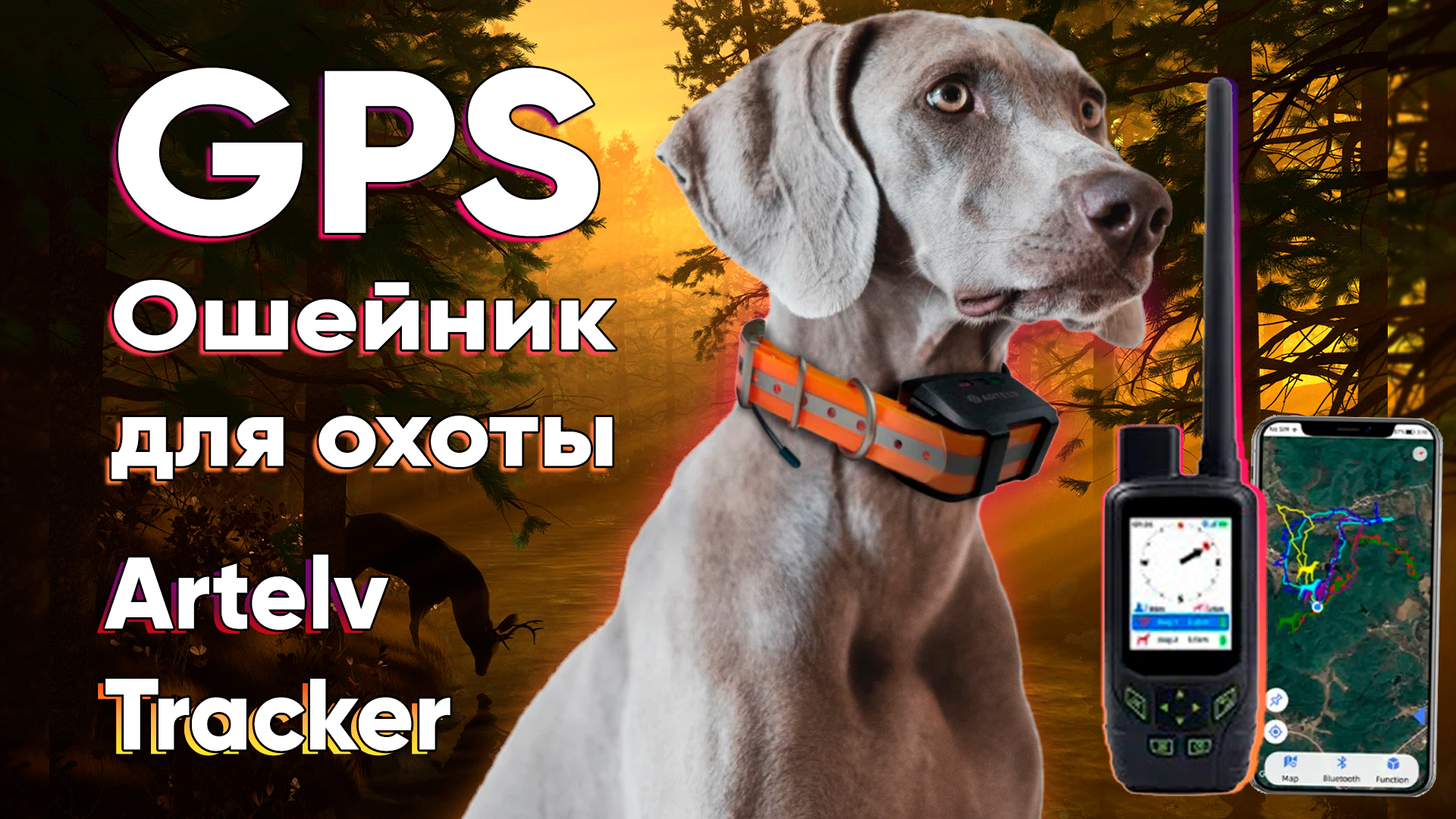 ошейник artelv tracker отзывы. ошейник artelv tracker отзывы. ошейник artelv tracker отзывы. Gps sim card pet tracker locator. ошейник artelv tracker отзывы.