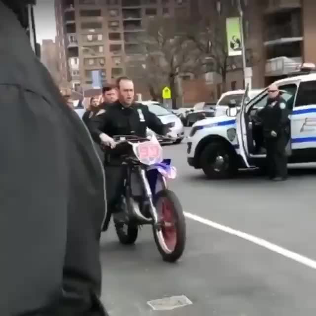 Failure группа. Surf casting tournament. You must keep your strength up. медведь бежит за велосипедистом. Long fail.