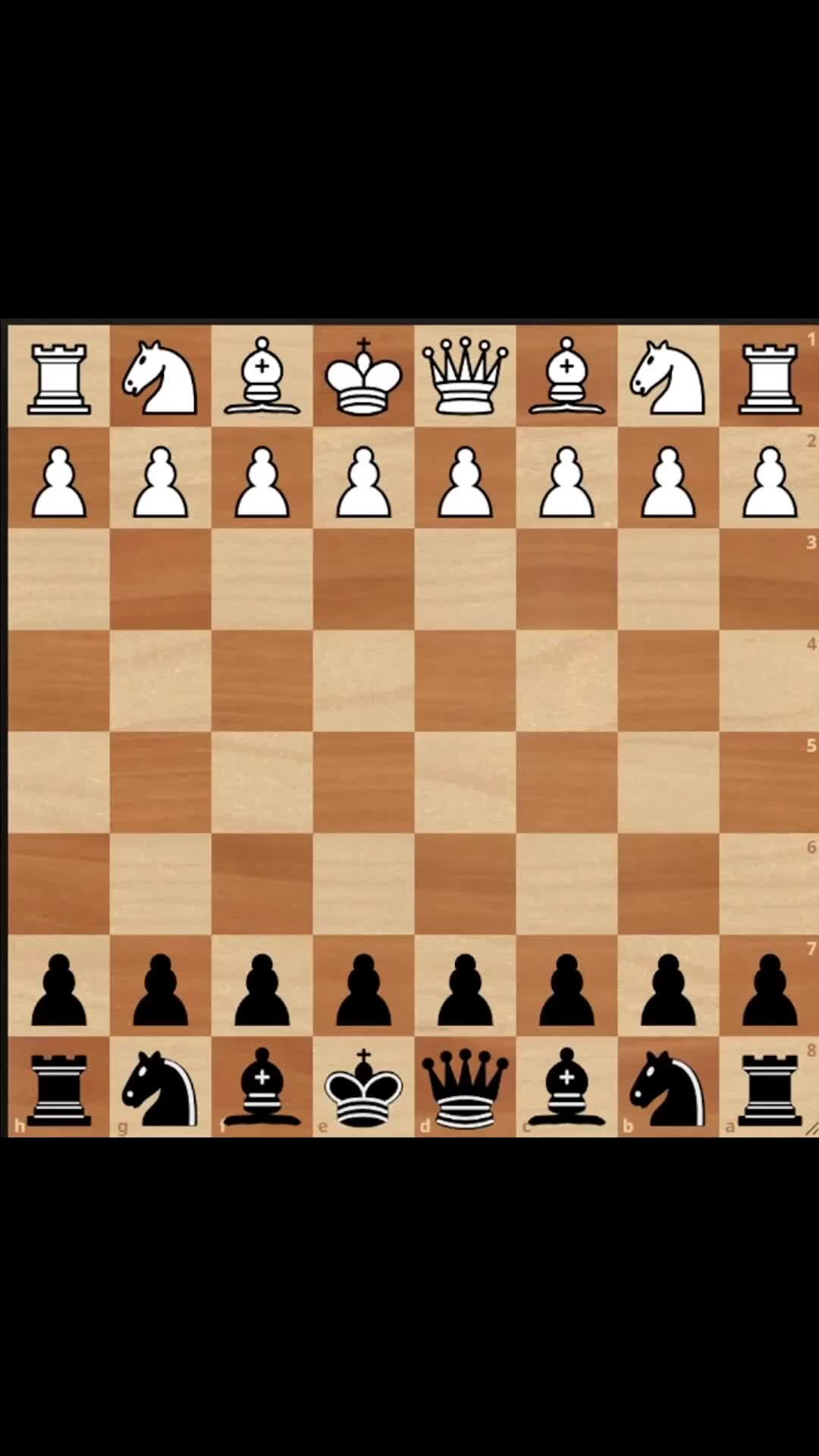 Hillclimbing of 4 queen problems. Правила игры в шахматы для начинающих как ходят фигуры. Правила по шахматам для начинающих. Ходы фигур в шахматах для начинающих. Шахматы правила игры для новичков с картинками для детей.