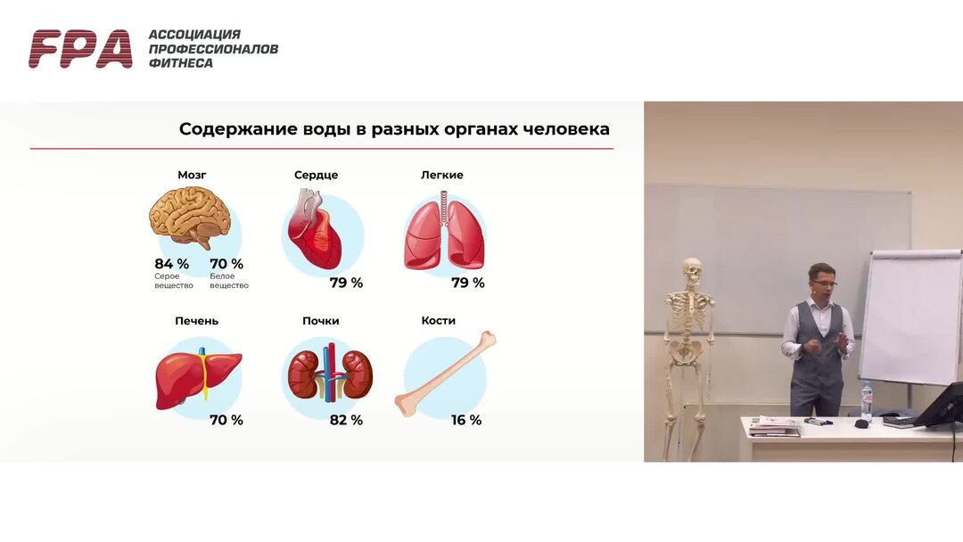 Содержание воды в камне. Содержание воды в органах. В различных органах содержание воды относительно. Содержание воды в разных органах составляет от 70% до 90%..