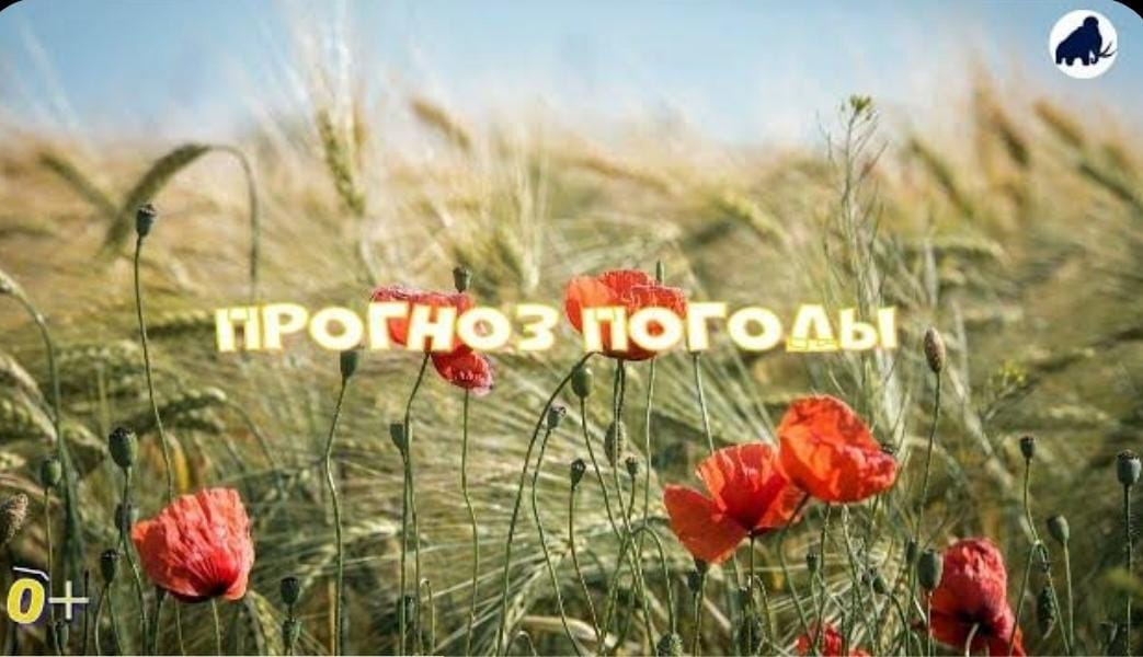 Погода в тольятти на неделю. Погода тольятти на 3. Погода тольятти на 10. Прогноз погоды в тольятти на январь 2024. Погода тольятти на 10.