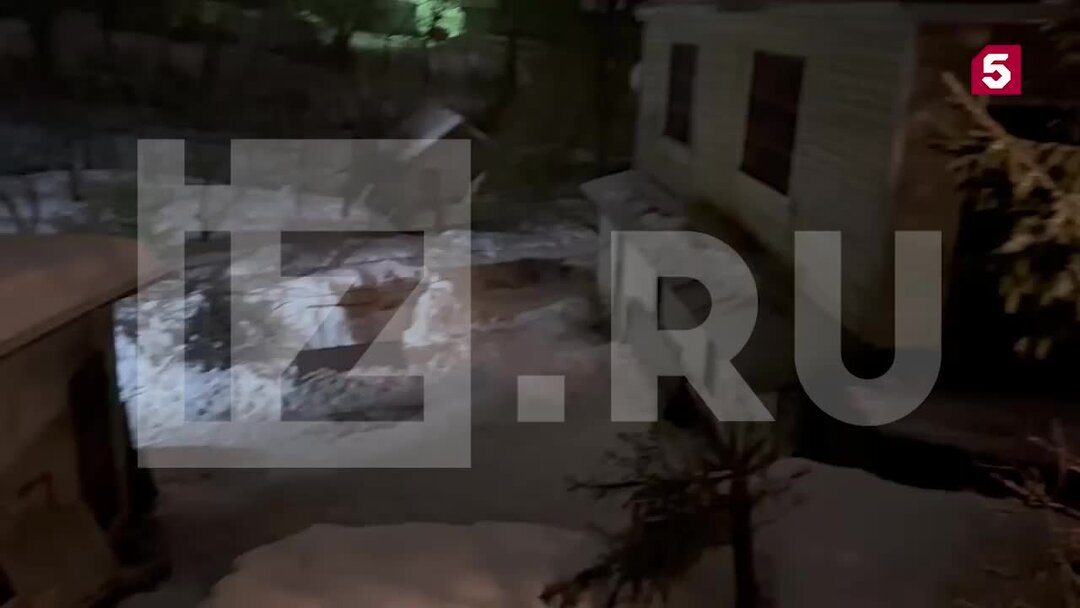 сказки на ночь для детей. рассказ чтобы заснуть. рассказы на ночь для детей. рассказ чтобы заснуть. сказка детская чтобы заснуть читать.