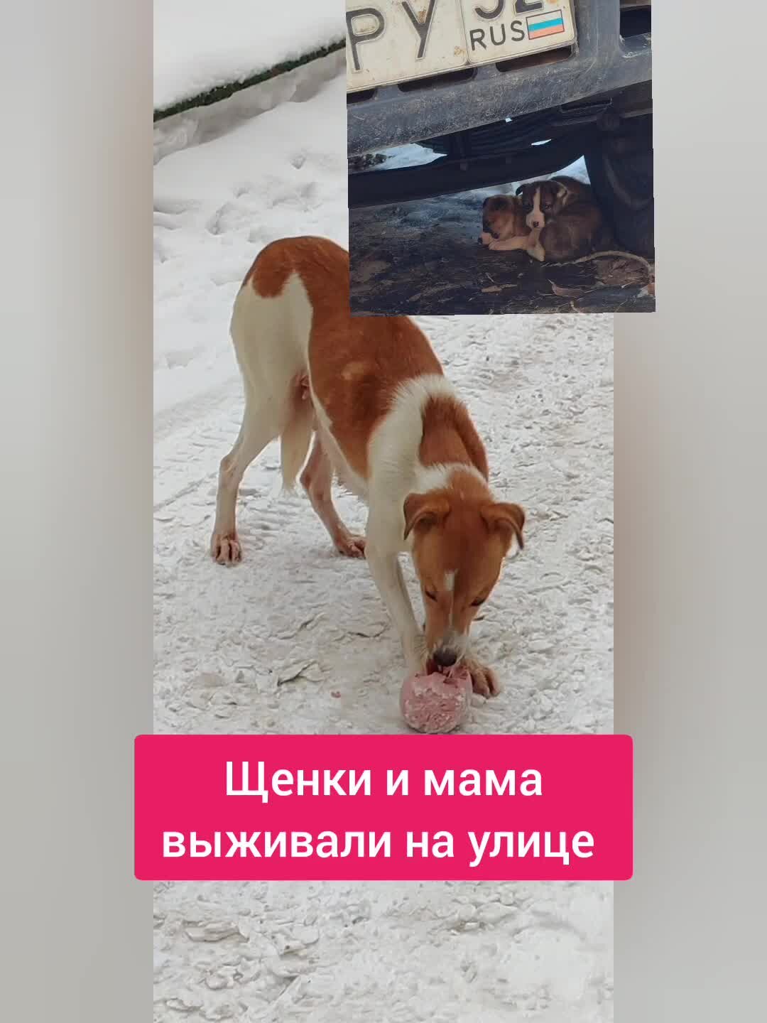 999 радиодетали волгоград