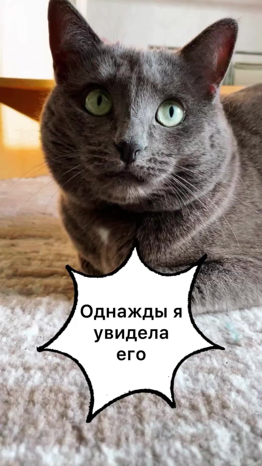 Решала смешно