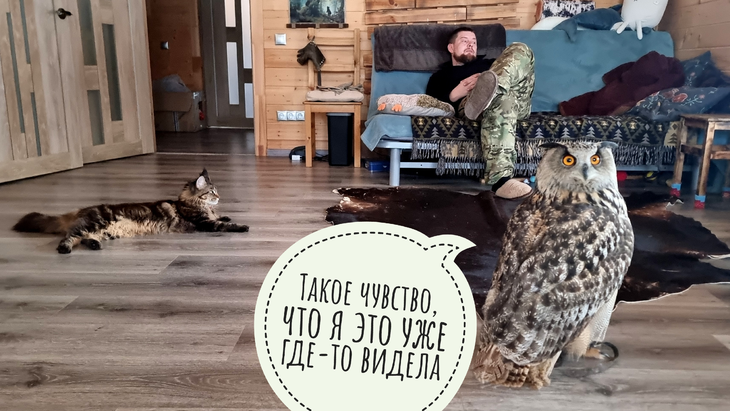 Невокс филин. Рыбный филин рисунок. Коромандельский филин. Сова фото. Филин.