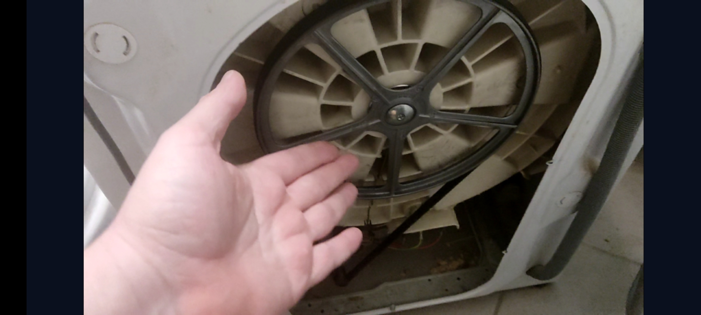 Д сашка. Томат сашка. Сашка из игры. Футболка для сашки. Помидоры сашок.