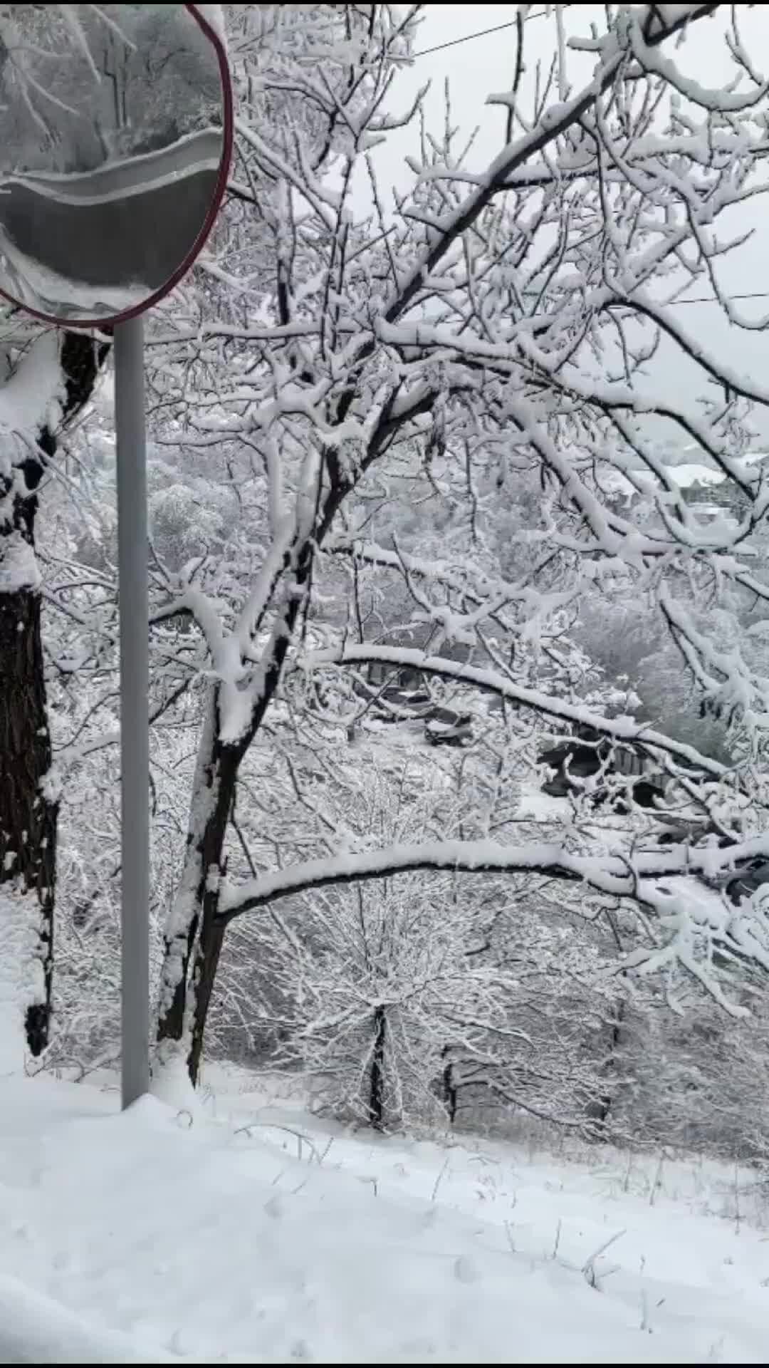 Бьянка сейчас 2022. Бьянка певица фото. Татьяна тэсс (сосюра) (19061983). Известные люди с именем татьяна. Анна берсенева.