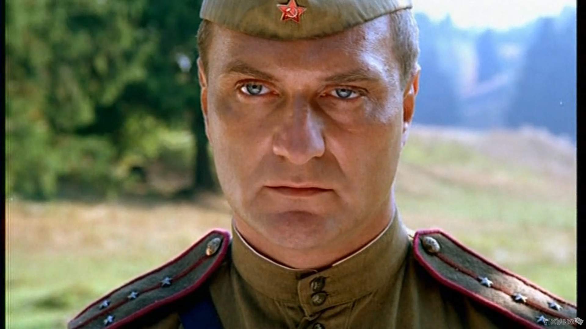 Истина фотоработы. Православные стихи. Владимир богомолов писатель на войне. Сорок истина. Цели познания.