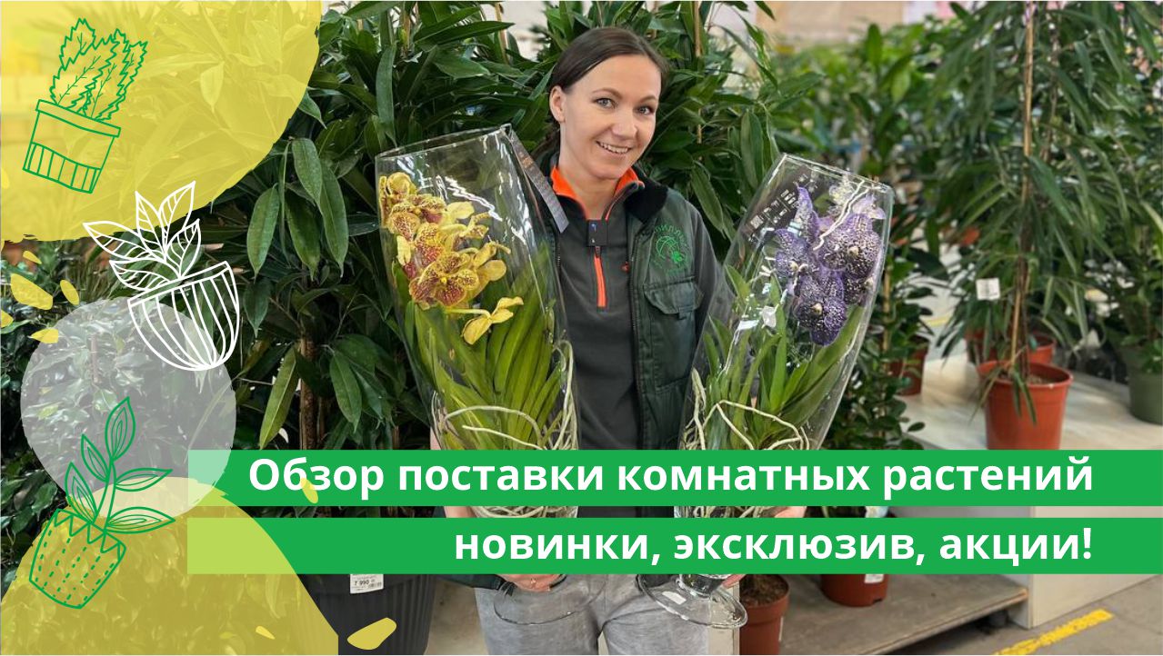 Тектонические структуры мира. Как расположены крупные формы. Как расположены крупные формы. Формы рельефа на капие. Физическая карта мира западно сибирская равнина.