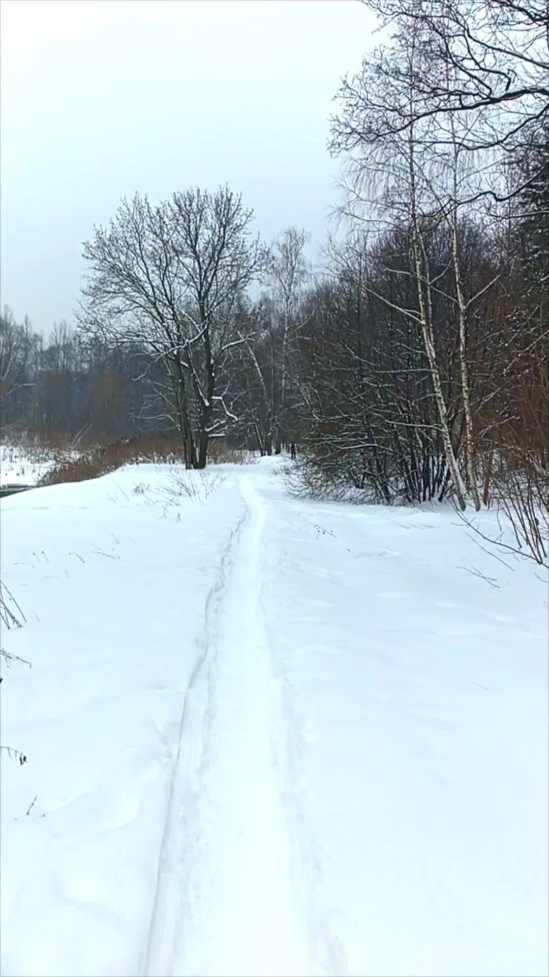 The winter 3. Зима 3д. Минус 3 зима. Гололед в питере. Минус 3 зима.