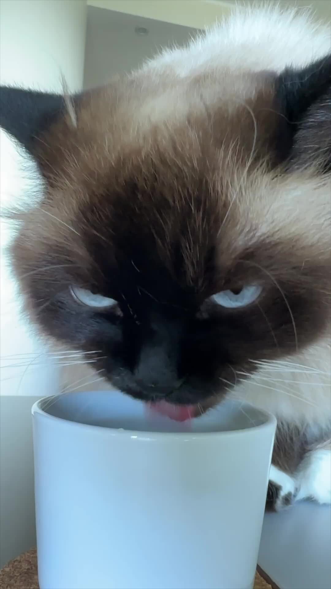 1. Всегда держите в питомнике чистую пресную воду